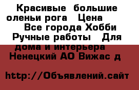 Красивые  большие оленьи рога › Цена ­ 3 000 - Все города Хобби. Ручные работы » Для дома и интерьера   . Ненецкий АО,Вижас д.